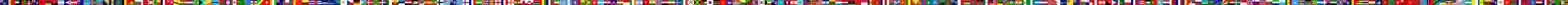 US flag